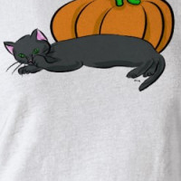 Black Cat and Pumpkin T-shirt