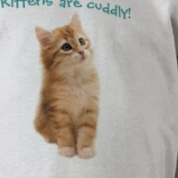 Cuddly Kitten Shirt T-shirt
