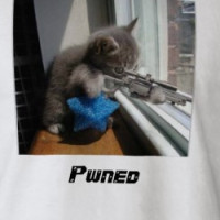 Kitten Sniper T-shirt