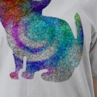 Rainbow Cat T-Shirt T-shirt