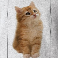 Siberian Kitten on Shirt T-shirt