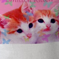 Smitten Kitten T-shirt